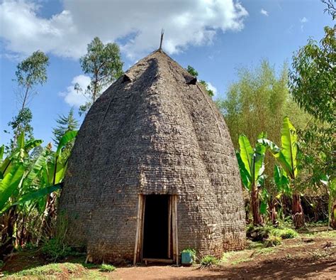  Your House on Earth: Ein ethiopischer Einblick in nachhaltiges Bauen